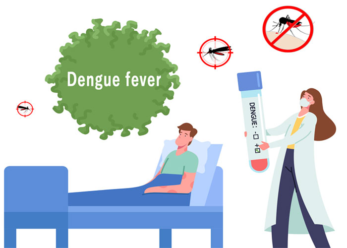 Dengue Fever Paragraph