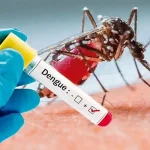 What to eat if you have dengue fever