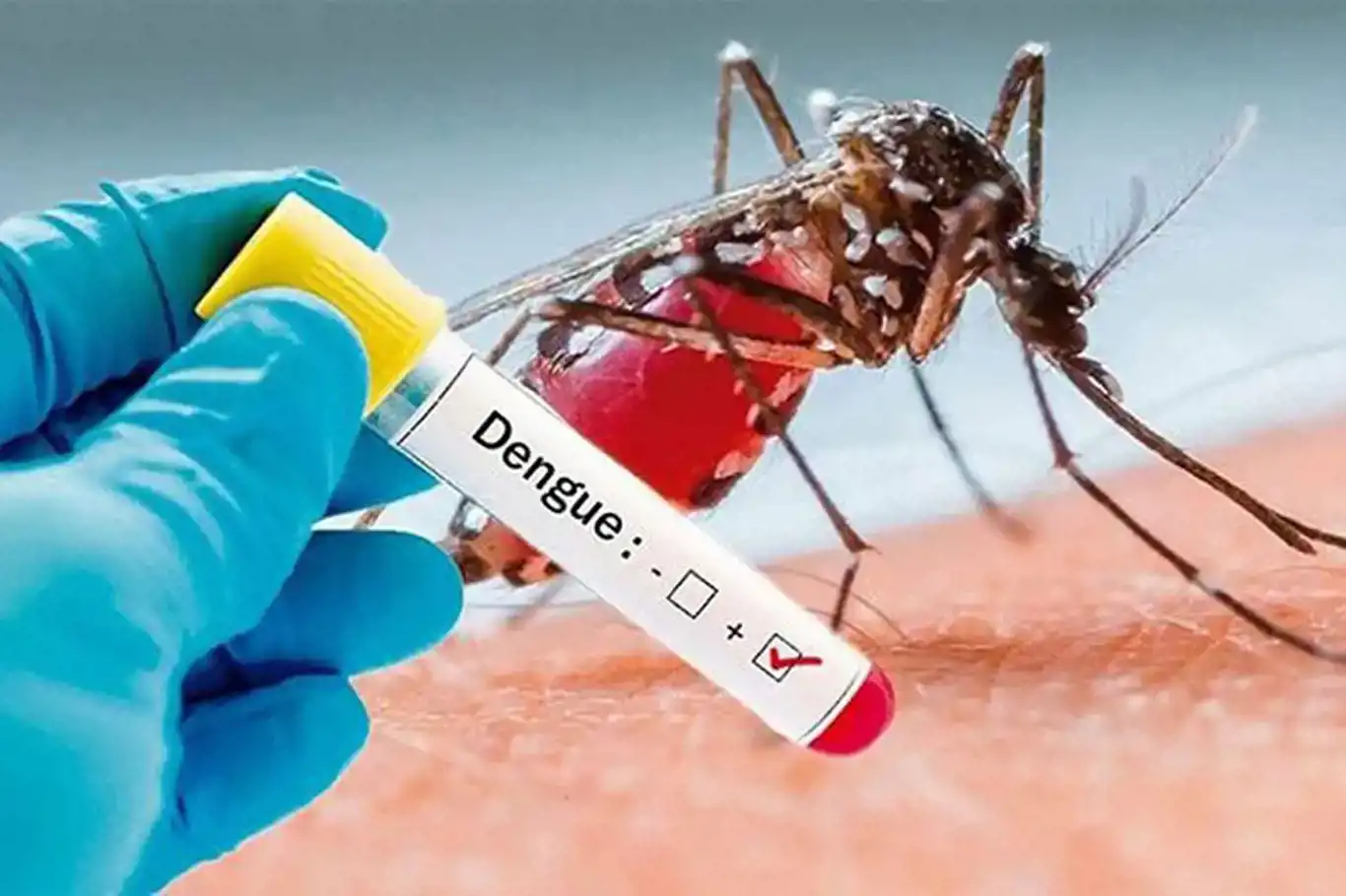 What to eat if you have dengue fever