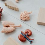 Ways to keep the liver healthy